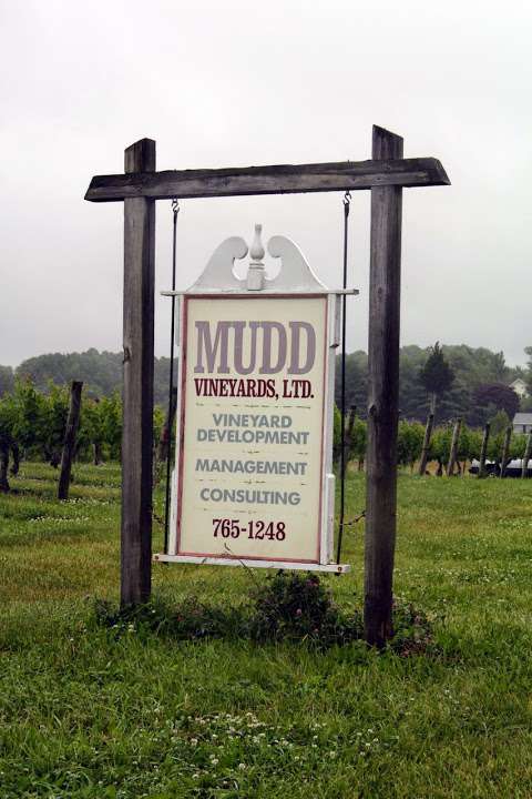 Jobs in Mudd's Vineyard Ltd - reviews